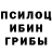 Галлюциногенные грибы Psilocybine cubensis Denis Okunev