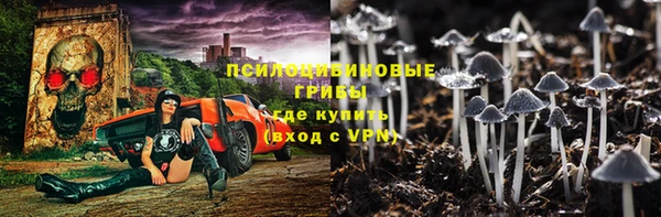 а пвп мука Алзамай